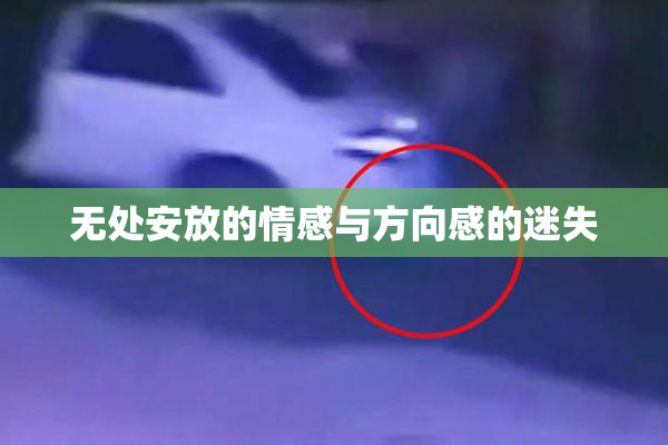 无处安放的情感与方向感的迷失