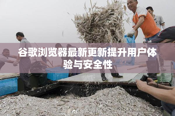 谷歌浏览器最新更新提升用户体验与安全性