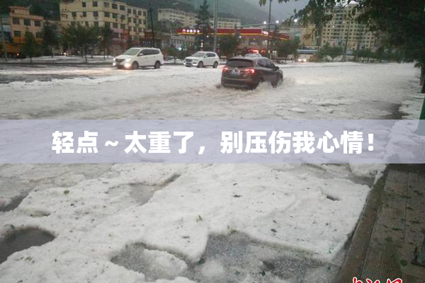 轻点～太重了，别压伤我心情！