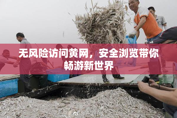 无风险访问黄网，安全浏览带你畅游新世界