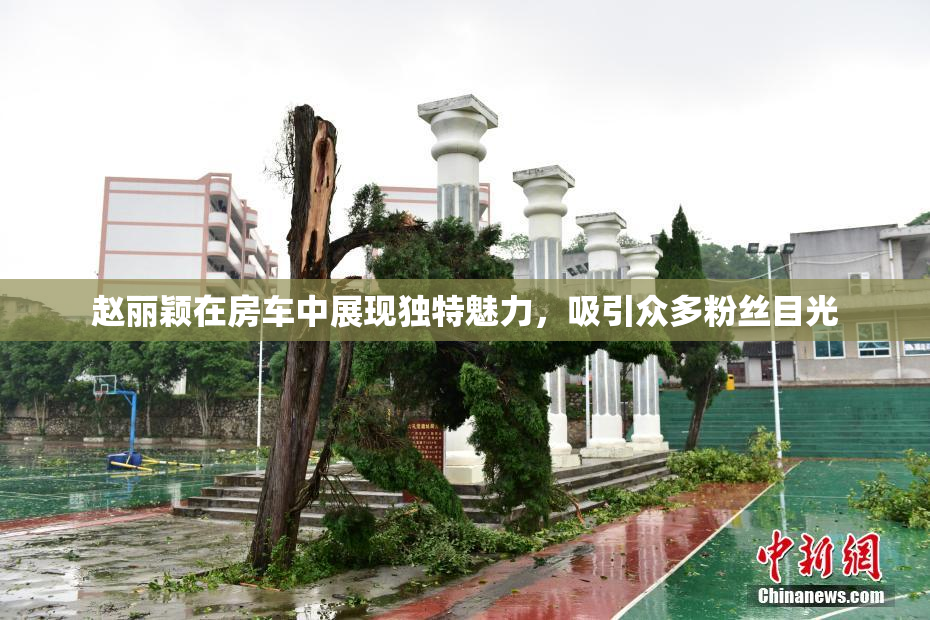 赵丽颖在房车中展现独特魅力，吸引众多粉丝目光