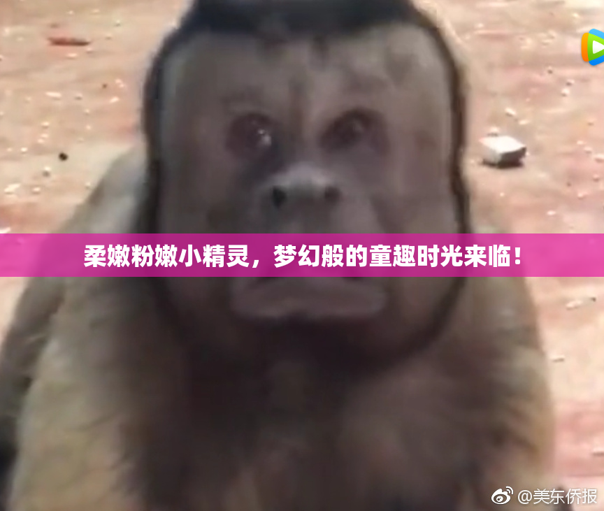 柔嫩粉嫩小精灵，梦幻般的童趣时光来临！