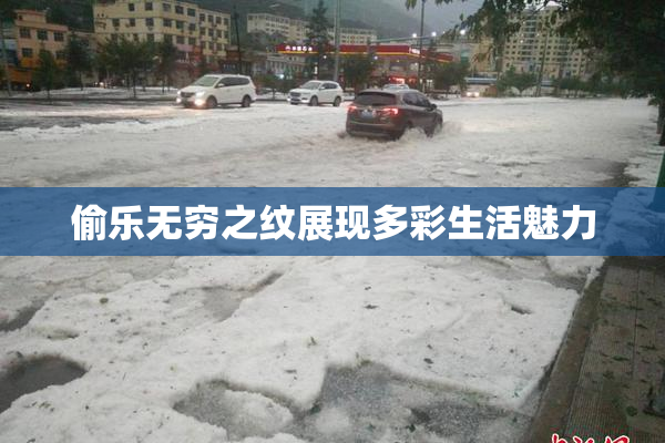 偷乐无穷之纹展现多彩生活魅力