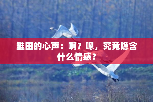 雏田的心声：啊？嗯，究竟隐含什么情感？
