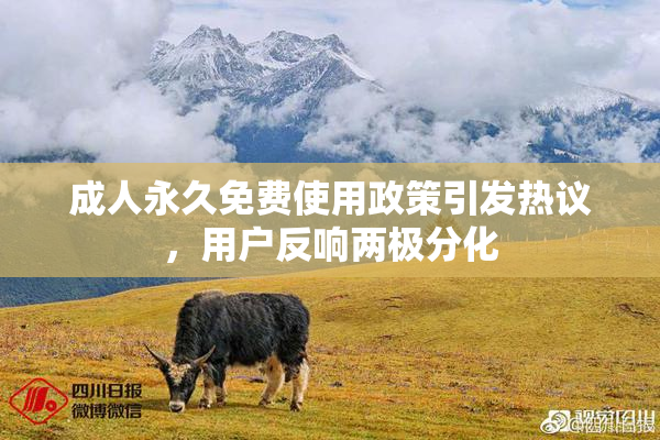 成人永久免费使用政策引发热议，用户反响两极分化