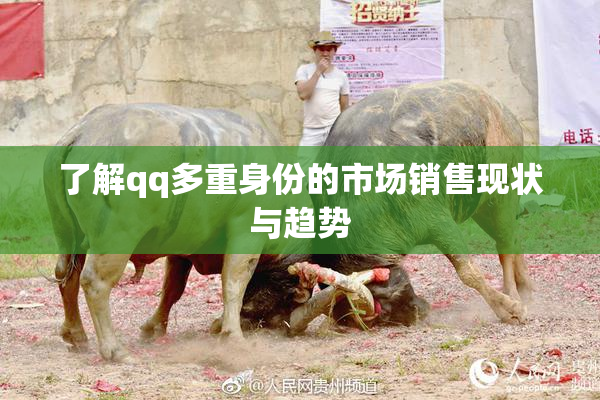 了解qq多重身份的市场销售现状与趋势