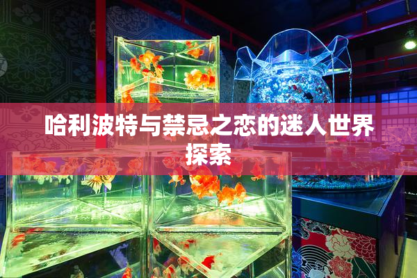 哈利波特与禁忌之恋的迷人世界探索