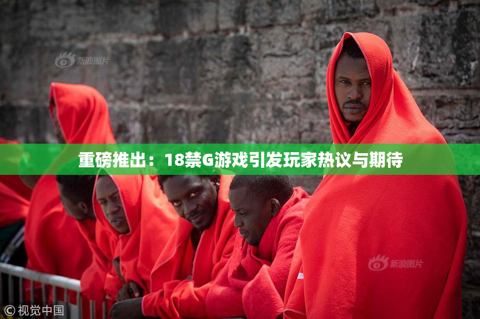 重磅推出：18禁G游戏引发玩家热议与期待
