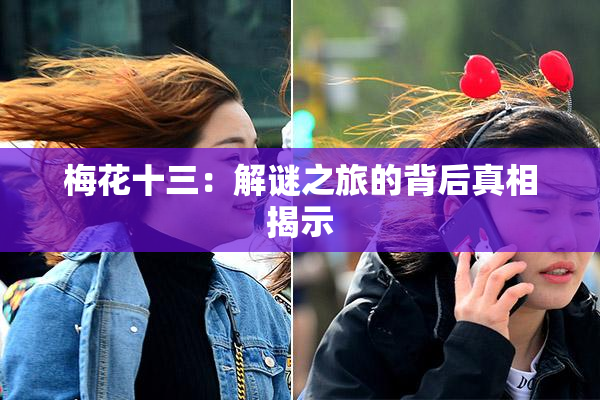 梅花十三：解谜之旅的背后真相揭示