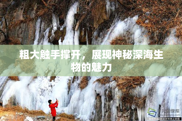 粗大触手撑开，展现神秘深海生物的魅力