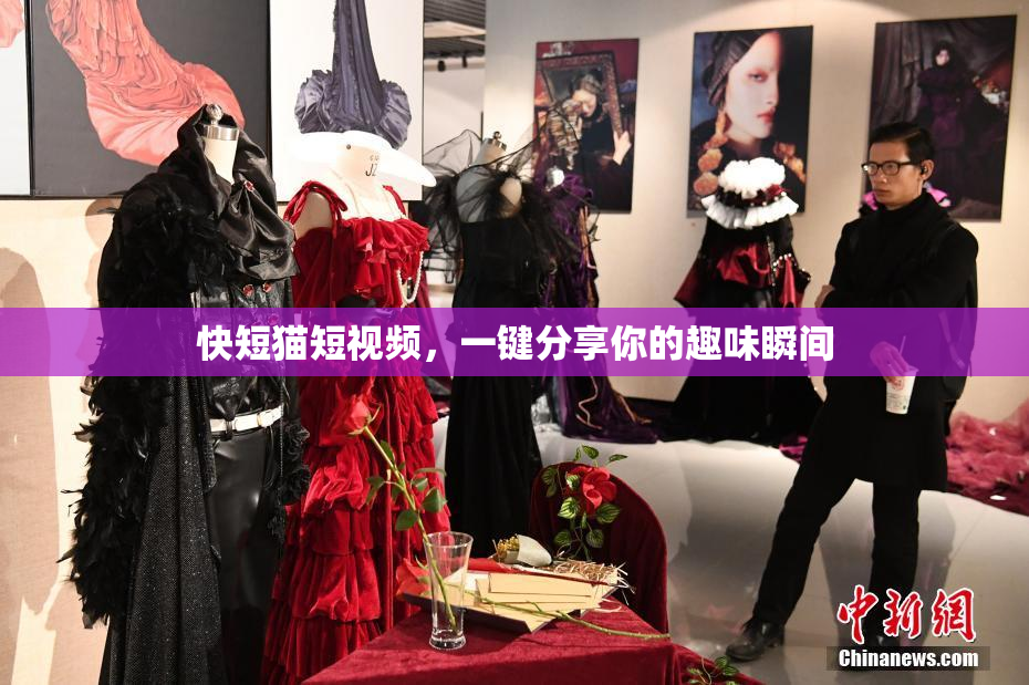 快短猫短视频，一键分享你的趣味瞬间