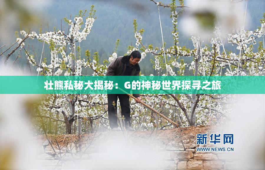壮熊私秘大揭秘：G的神秘世界探寻之旅