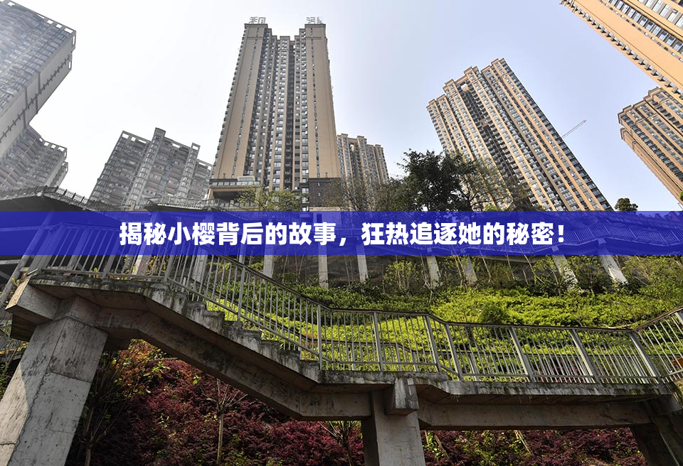 揭秘小樱背后的故事，狂热追逐她的秘密！