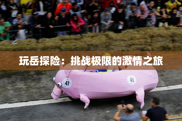 玩岳探险：挑战极限的激情之旅