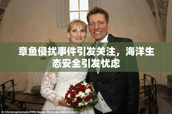 章鱼侵扰事件引发关注，海洋生态安全引发忧虑