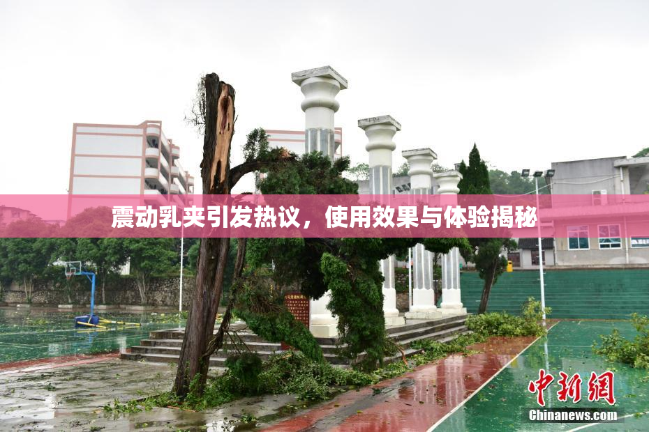 震动乳夹引发热议，使用效果与体验揭秘