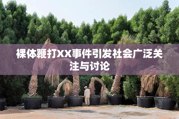 裸体鞭打XX事件引发社会广泛关注与讨论