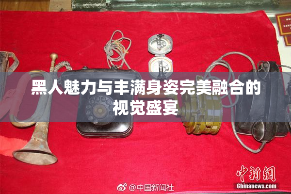 黑人魅力与丰满身姿完美融合的视觉盛宴