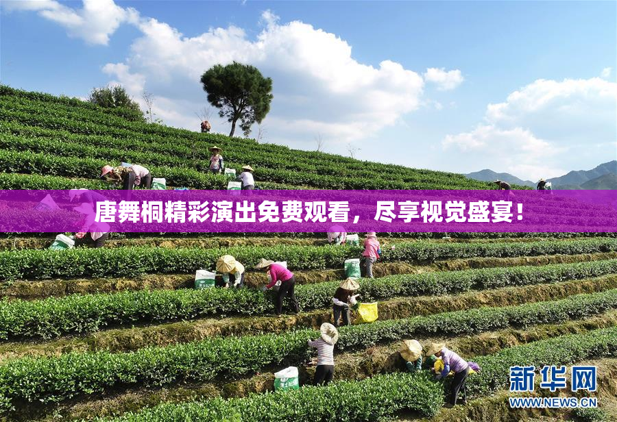 唐舞桐精彩演出免费观看，尽享视觉盛宴！