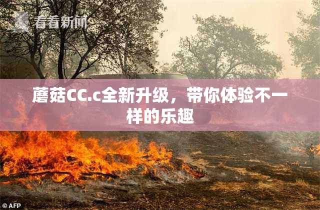 蘑菇CC.c全新升级，带你体验不一样的乐趣