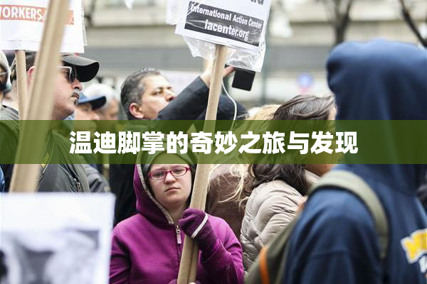 温迪脚掌的奇妙之旅与发现