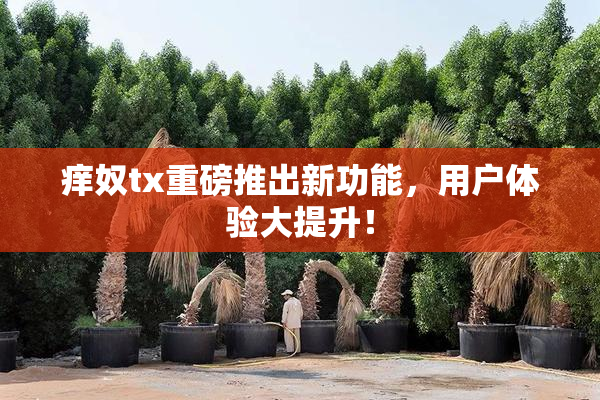 痒奴tx重磅推出新功能，用户体验大提升！