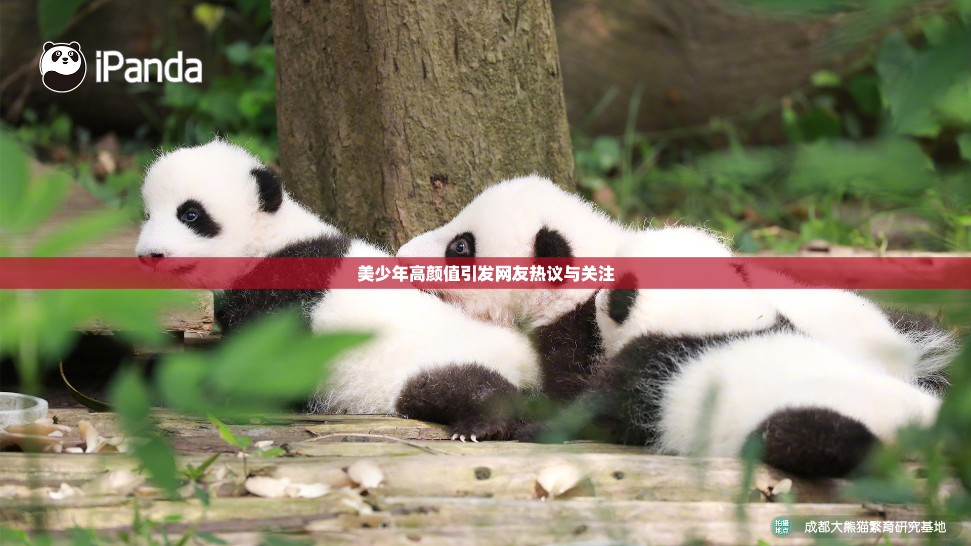 美少年高颜值引发网友热议与关注