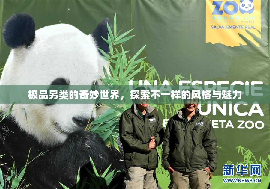 极品另类的奇妙世界，探索不一样的风格与魅力