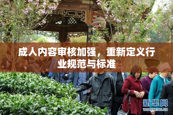 成人内容审核加强，重新定义行业规范与标准