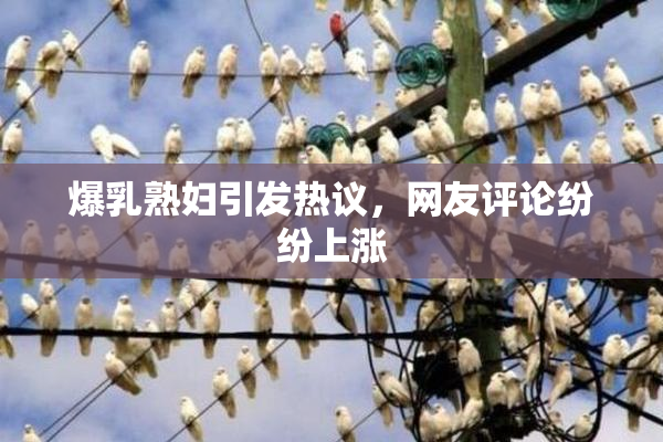 爆乳熟妇引发热议，网友评论纷纷上涨