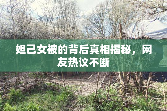 妲己女被的背后真相揭秘，网友热议不断