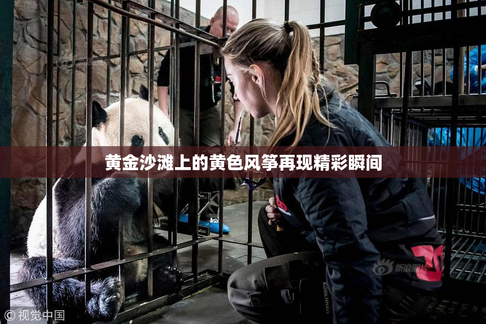 黄金沙滩上的黄色风筝再现精彩瞬间