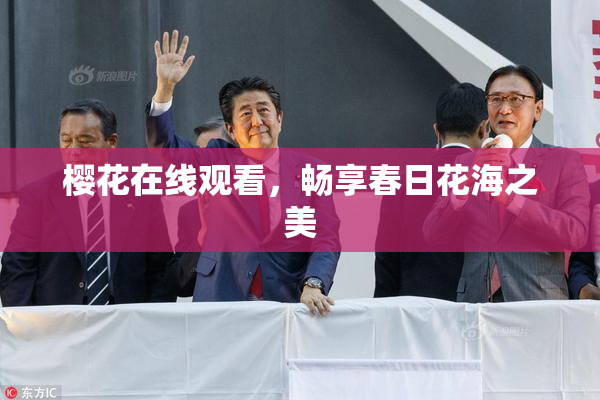 樱花在线观看，畅享春日花海之美