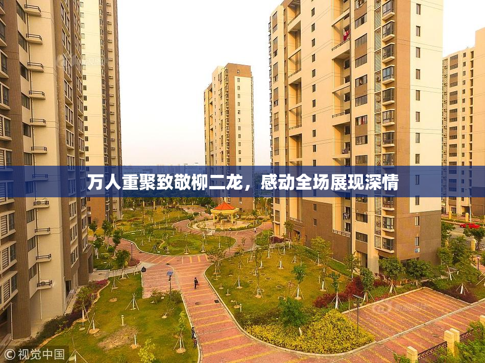 万人重聚致敬柳二龙，感动全场展现深情