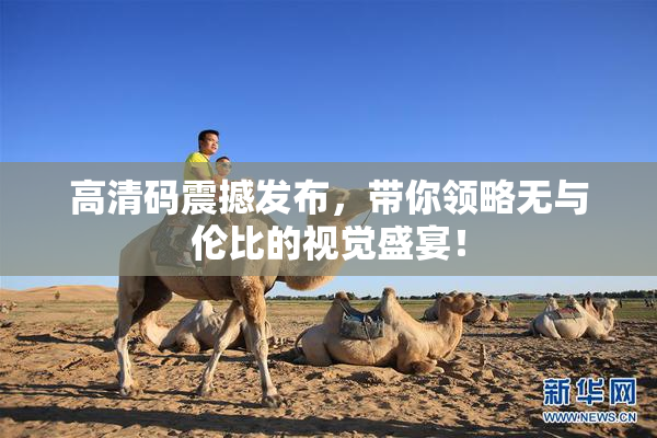 高清码震撼发布，带你领略无与伦比的视觉盛宴！