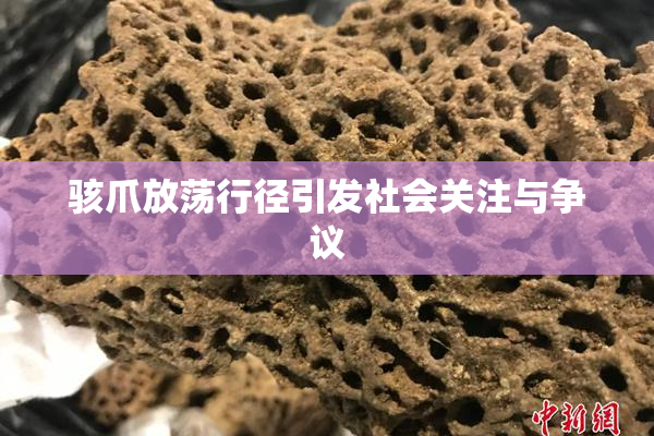 骇爪放荡行径引发社会关注与争议