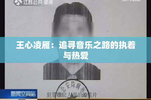 王心凌雁：追寻音乐之路的执着与热爱
