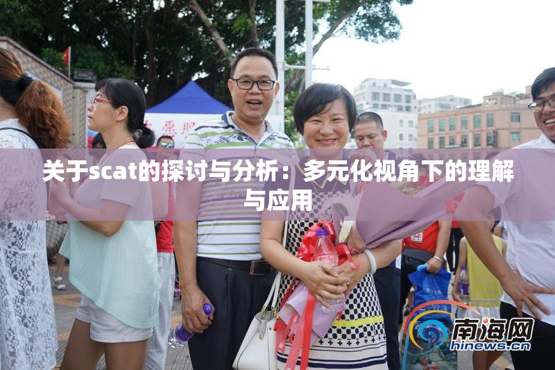 关于scat的探讨与分析：多元化视角下的理解与应用