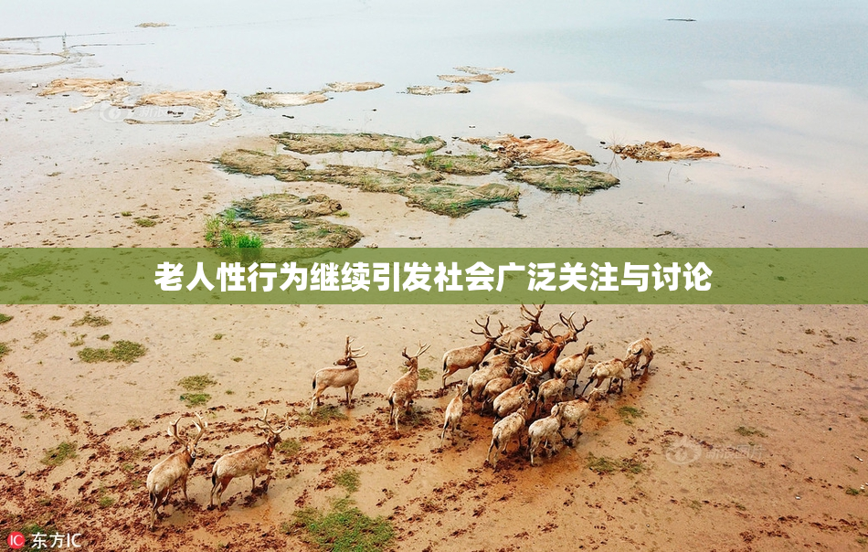 老人性行为继续引发社会广泛关注与讨论