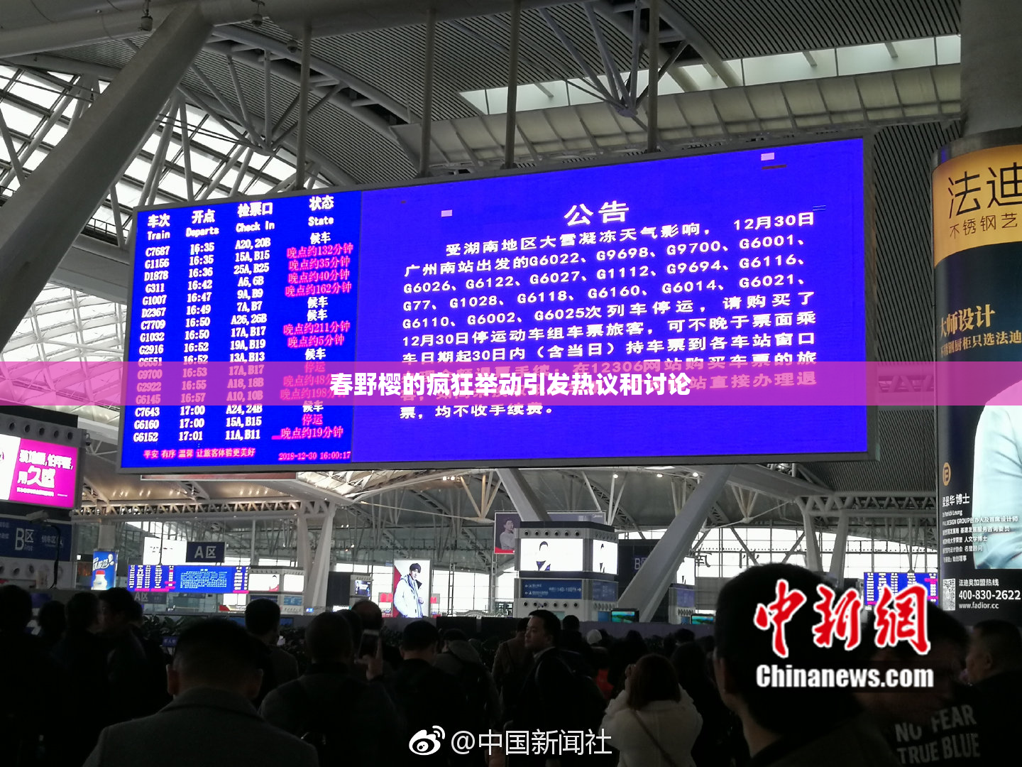 春野樱的疯狂举动引发热议和讨论