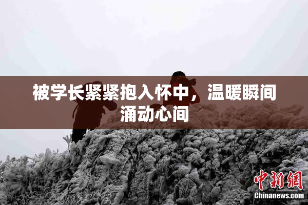被学长紧紧抱入怀中，温暖瞬间涌动心间
