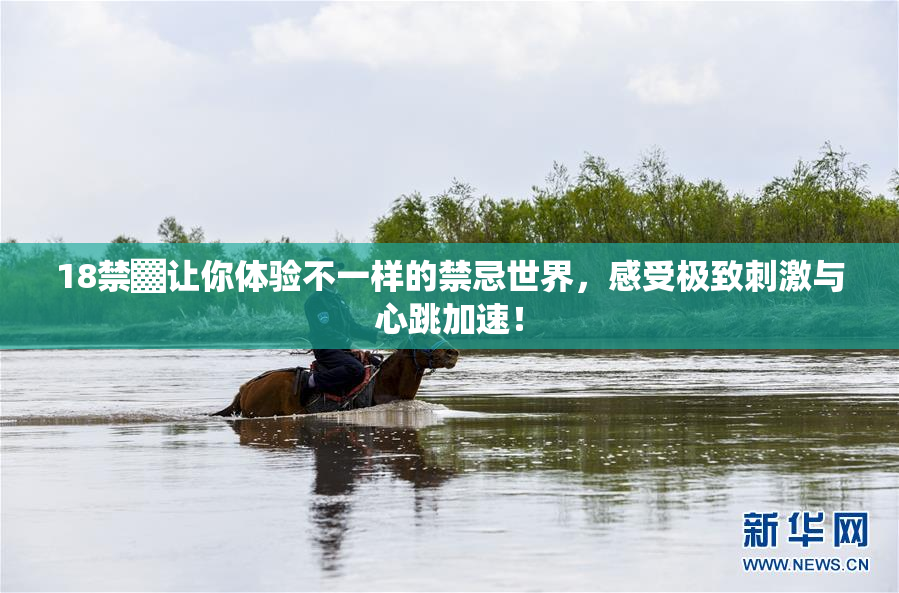 18禁▓让你体验不一样的禁忌世界，感受极致刺激与心跳加速！