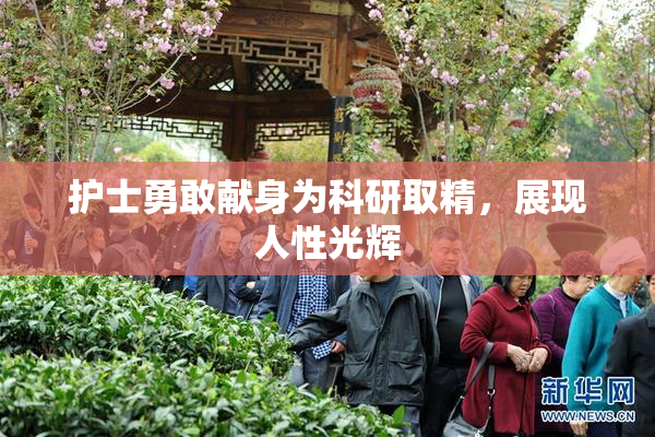 护士勇敢献身为科研取精，展现人性光辉