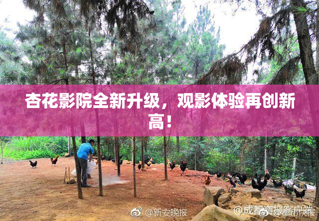 杏花影院全新升级，观影体验再创新高！