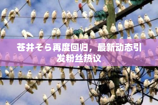 苍井そら再度回归，最新动态引发粉丝热议