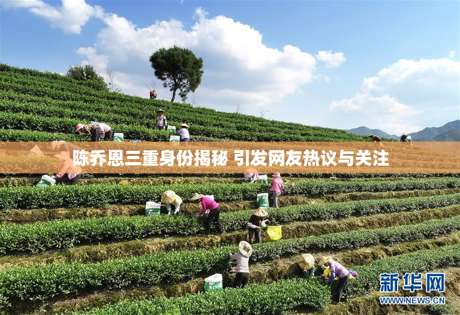 陈乔恩三重身份揭秘 引发网友热议与关注