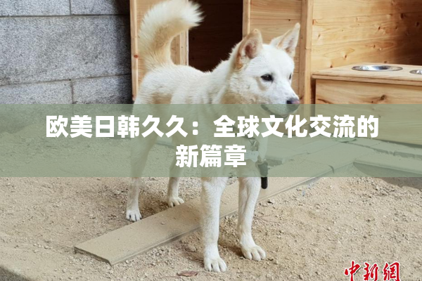 欧美日韩久久：全球文化交流的新篇章