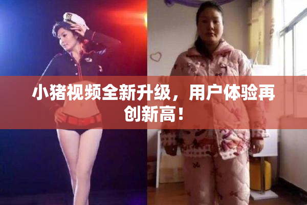 小猪视频全新升级，用户体验再创新高！