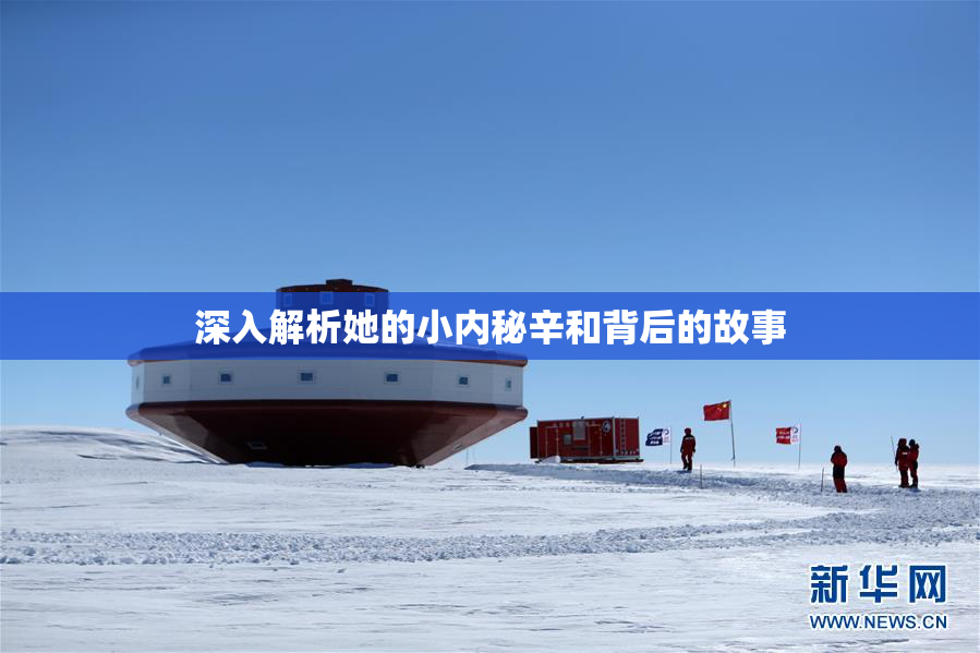 深入解析她的小内秘辛和背后的故事