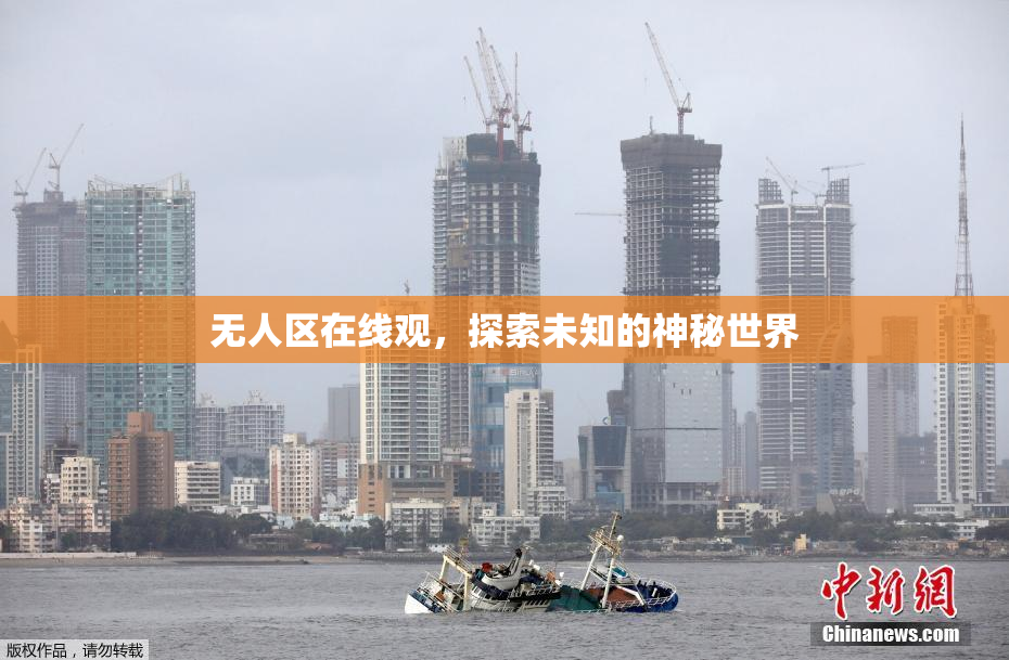 无人区在线观，探索未知的神秘世界